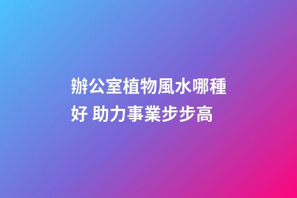 辦公室植物風水哪種好 助力事業步步高